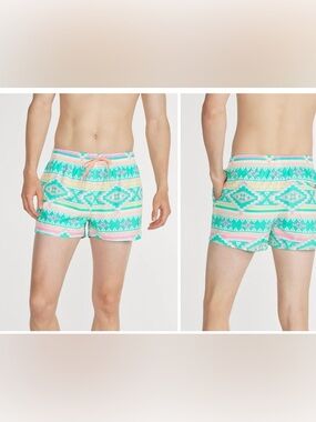 Chubbies Swim Trunks Mens Large Lined Shorts 4" Inseam Aztec Pastel Print
